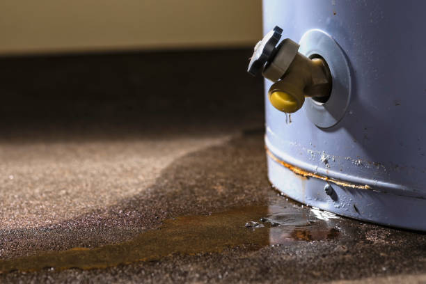 Local water damage restoration