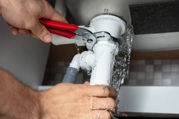Best Flooded house restoration  in Perham, MN