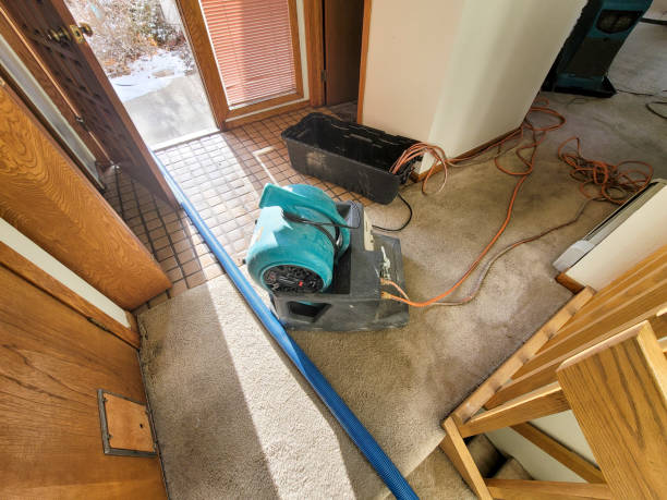 Best Emergency water extraction  in Perham, MN