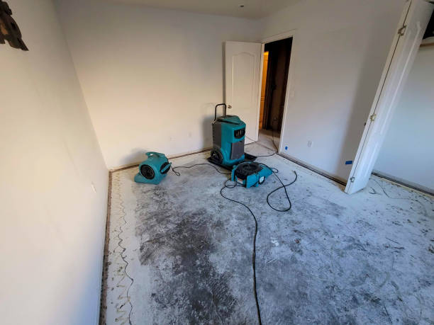Best Fire Damage Restoration  in Perham, MN