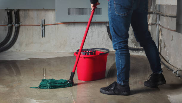 Best Professional water damage repair  in Perham, MN