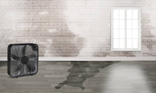  Perham, MN Water damage restoration Pros