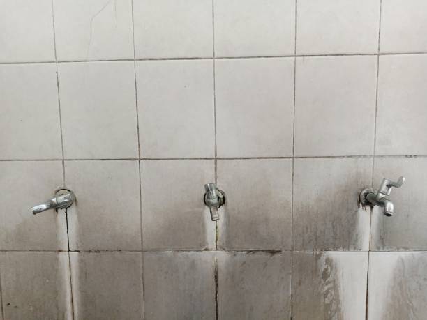 Best 24-hour water damage restoration  in Perham, MN