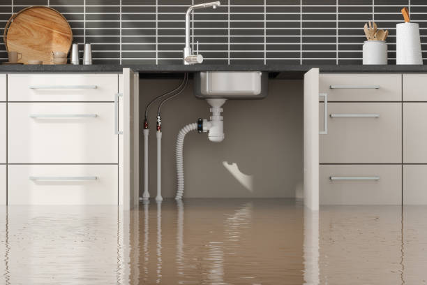 Best Water damage contractors near me  in Perham, MN