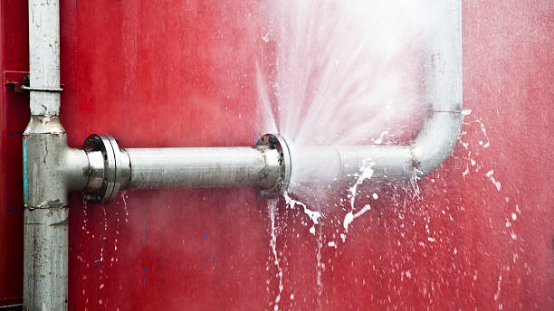 Best Ceiling water damage repair  in Perham, MN